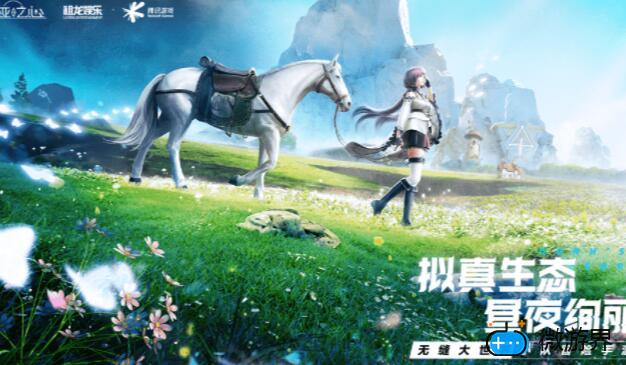 诺亚之心哪个职业厉害(诺亚之心手游职业)