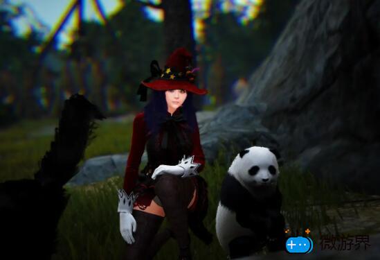 黑色沙漠手游熊猫怎么获得(黑色沙漠熊在哪)