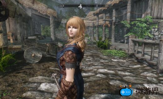 上古卷轴5装什么mod好