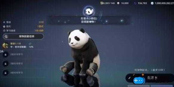 黑色沙漠熊猫怎么获得(黑色沙漠手游熊宠物在哪弄到的)