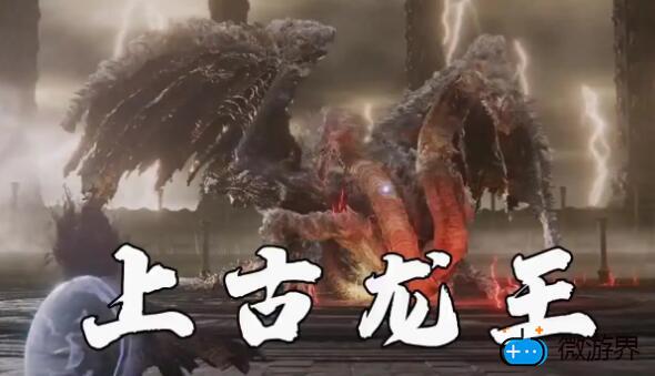 艾尔登法环龙王在哪(艾尔登法环龙王在哪儿)