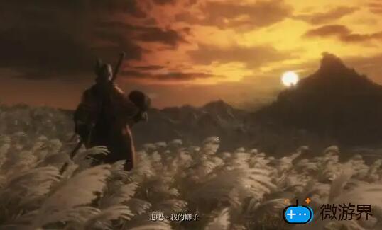 只狼哪个结局最好(只狼哪个结局最好打)