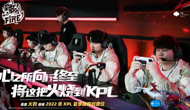 KPL火豹战队是哪里的(火豹是谁的战队)