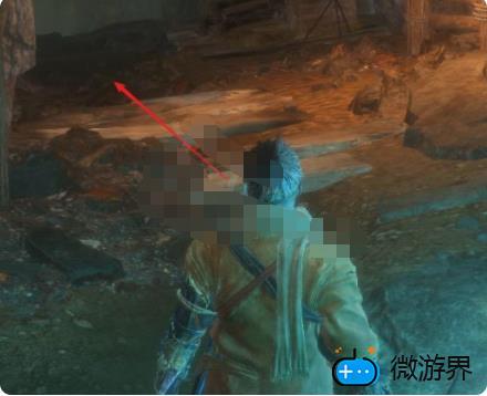 只狼水生村怎么去(只狼水生村怎么去源之宫)