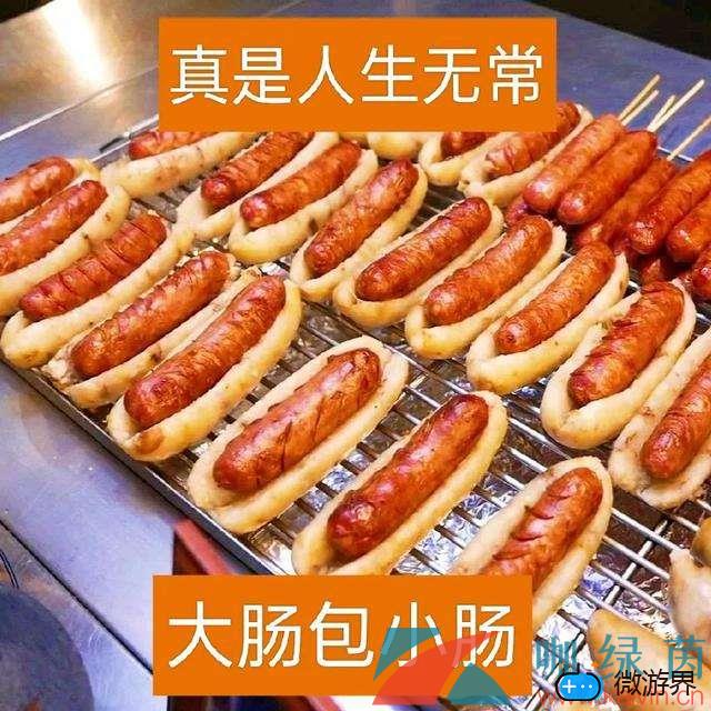 网络用人生无常大肠包小肠意思介绍(人生无常,大肠包小肠)