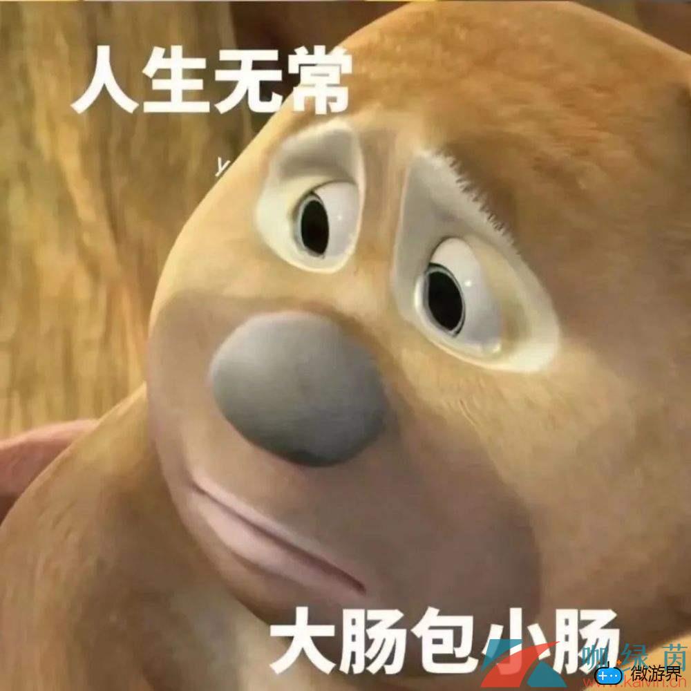 网络用人生无常大肠包小肠意思介绍