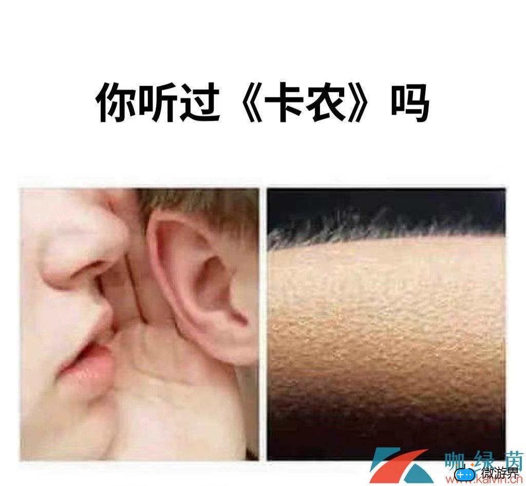 网络用语卡农警告意思介绍(网络用语卡什么意思)
