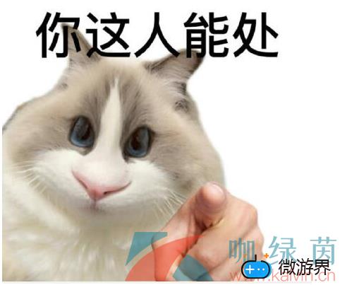 网络用语这人能处，有事真上意思介绍