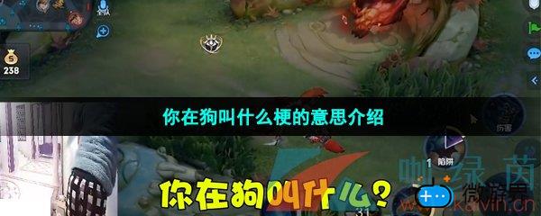 你在狗叫什么梗的意思介绍(狗怎么叫是什么梗)
