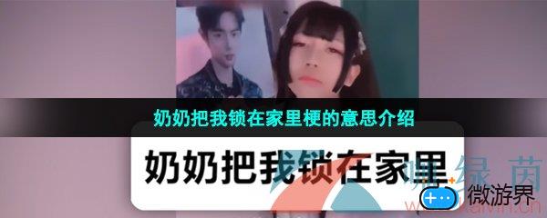 奶奶把我锁在家里梗的意思介绍(奶奶到家了什么梗,你奶奶在家吗是什么梗)
