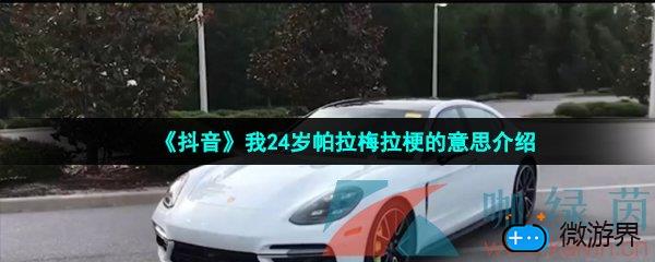 《抖音》我24岁帕拉梅拉梗的意思介绍(帕拉梅拉抖音段子)