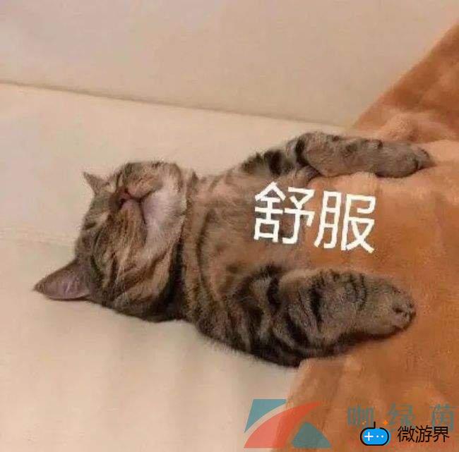 《抖音》我胖凑的一天梗的意思介绍(抖音你的肥肥什么梗)