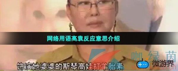 网络用语高袁反应意思介绍(网络用语高袁反应意思介绍)