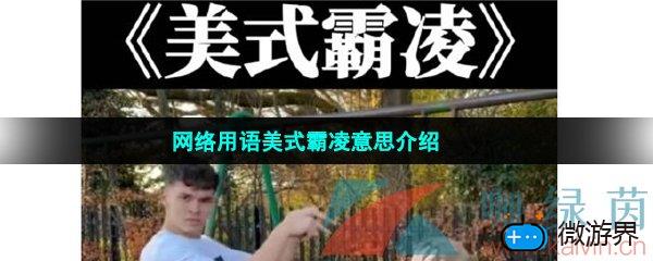 网络用语美式霸凌意思介绍
