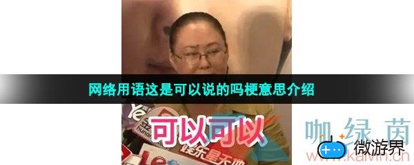 网络用语这是可以说的吗梗意思介绍(网络说的梗是什么意思)