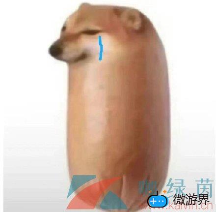《抖音》面包狗香肠狗表情包分享(香肠嘴抖音表情包)