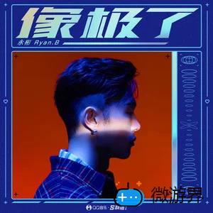 《抖音》像极了歌曲介绍分享