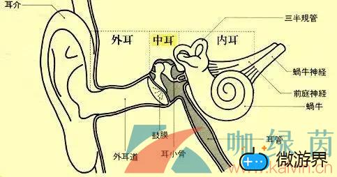 《支付宝》蚂蚁庄园2022年3月22日每日一题答案(支付宝蚂蚁庄园今日答题10月22日问题答案)