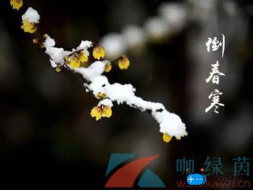 《支付宝》蚂蚁庄园2022年3月23日每日一题答案(支付宝蚂蚁庄园今日答题2021.2.21)