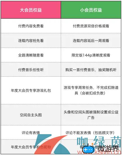 《哔哩哔哩》年度小会员功能介绍(哔哩哔哩年度小会员怎么弄)