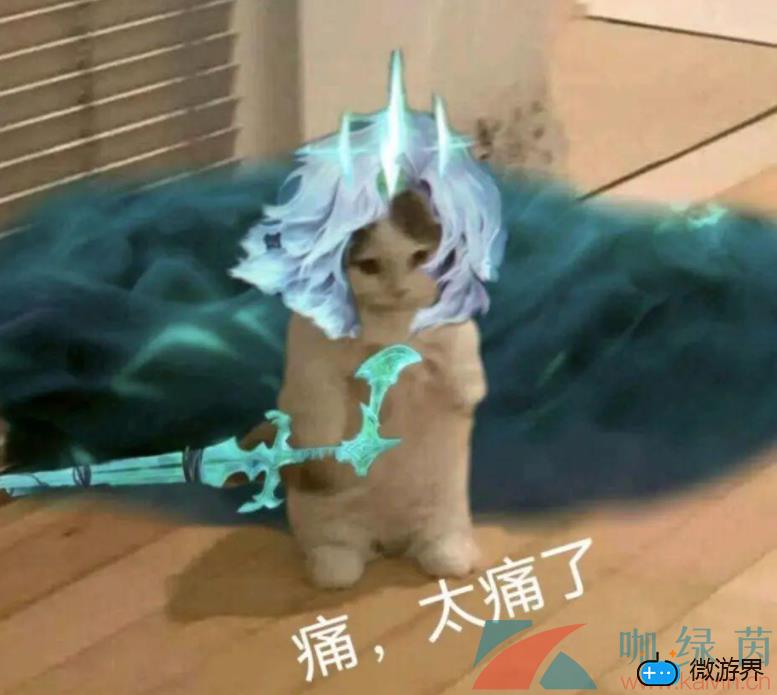 网络用语痛，太痛了梗的意思介绍