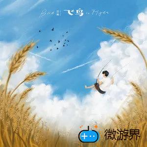 《抖音》飞鸟歌曲介绍