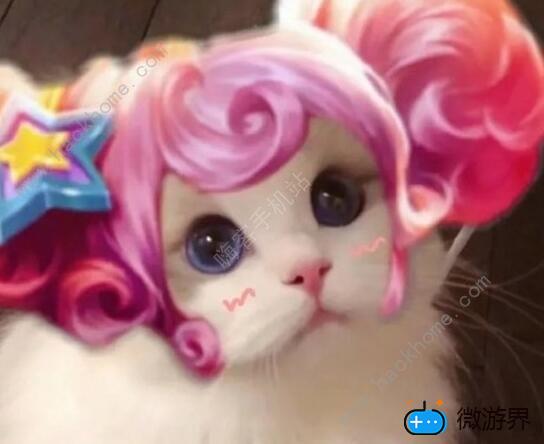 王者荣耀猫咪接头怎么制作 猫咪接头头像制作攻略[多图]图片6