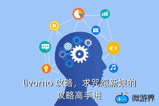 livorno 攻略，求咒怨新娘的攻略高手进
