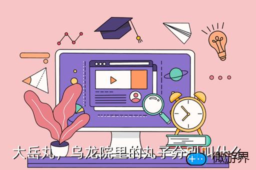 大岳丸，乌龙院里的丸子分别叫什么