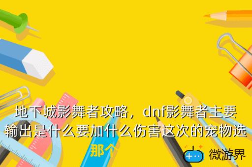 地下城影舞者攻略，dnf影舞者主要输出是什么要加什么伤害这次的宠物选那个还有称