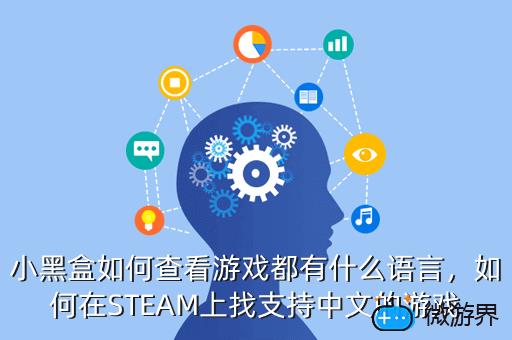 小黑盒如何查看游戏都有什么语言，如何在STEAM上找支持中文的游戏