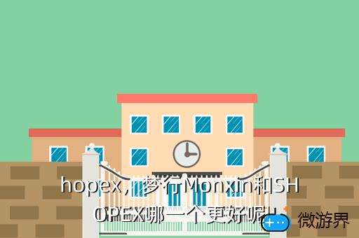 hopex，hope形容词是什么