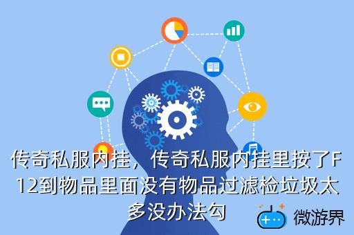 传奇私服内挂，传奇私服内挂里按了F12到物品里面没有物品过滤检垃圾太多没办法勾