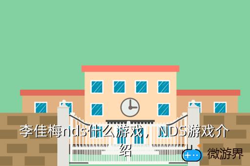 李佳梅nds什么游戏，NDS游戏介绍