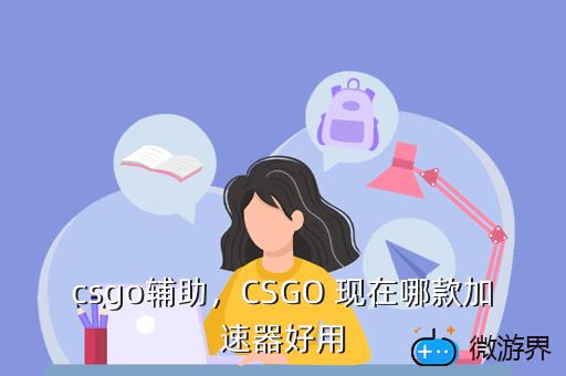 csgo辅助，CSGO 现在哪款加速器好用