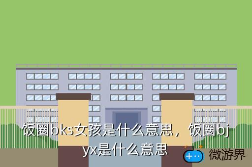 饭圈bks女孩是什么意思，饭圈bjyx是什么意思