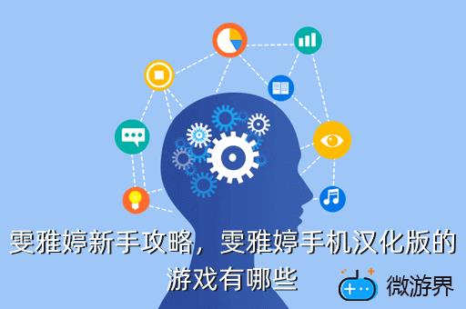 雯雅婷新手攻略，雯雅婷通关攻略
