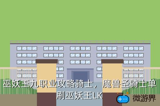 巫妖王九职业攻略骑士，魔兽圣骑士单刷巫妖王LK