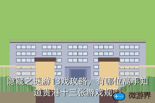 隐藏之谜游13戏攻略，有哪位高手知道贵港十三张游戏规则