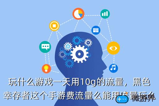 玩什么游戏一天用10g的流量，黑色幸存者这个手游费流量么能用流量玩么