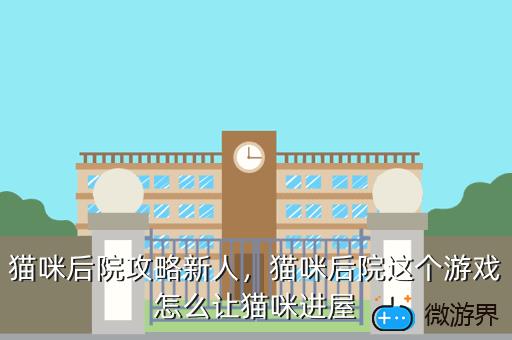 猫咪后院攻略新人，猫咪后院攻略大全道具