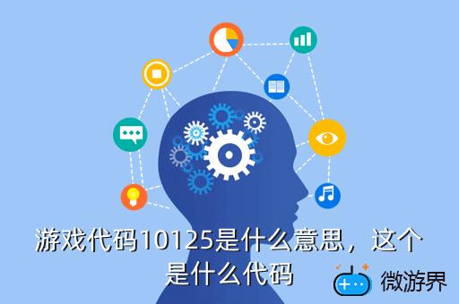 游戏代码10125是什么意思，游戏代码10125是什么意思呀