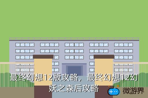 最终幻想12版攻略，最终幻想12幻妖之森后攻略