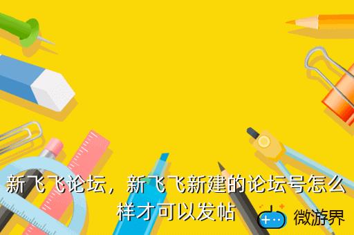 新飞飞论坛，新飞飞官网论坛