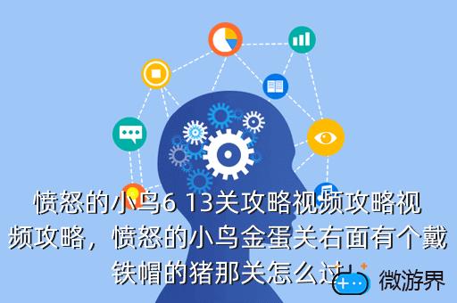 愤怒的小鸟6 13关攻略视频攻略视频攻略，愤怒的小鸟金蛋关右面有个戴铁帽的猪那关怎么过