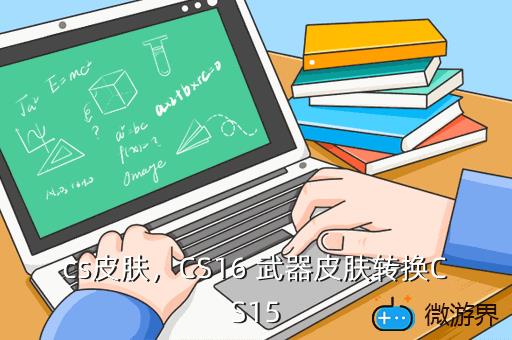 cs皮肤，cs皮肤用久了磨损会掉吗