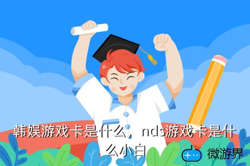 韩娱游戏卡是什么，nds游戏卡是什么小白