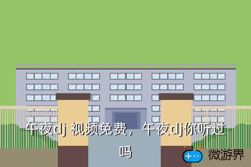 午夜dj 视频免费，午夜dj你听过吗