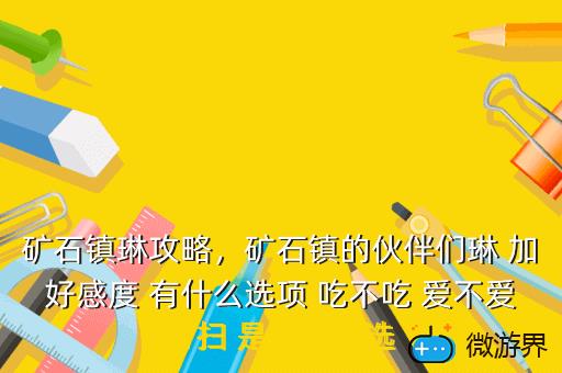 矿石镇琳攻略，矿石镇的伙伴们琳攻略