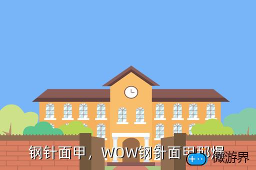 钢针面甲，WOW钢针面甲那爆